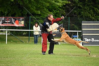 Clooney vom Clan der Wölfe