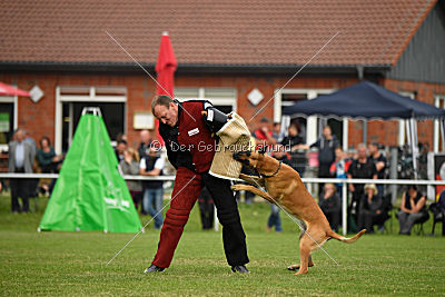 Clooney vom Clan der Wölfe