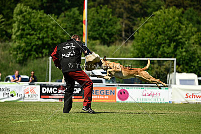 Codex vom Clan der Wölfe