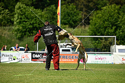 Codex vom Clan der Wölfe