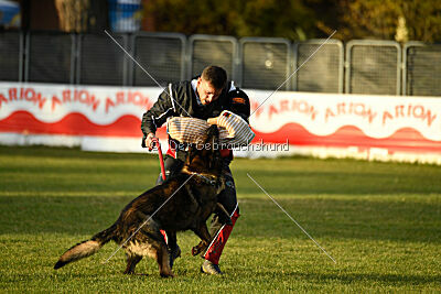 Colombo Moravská kometa