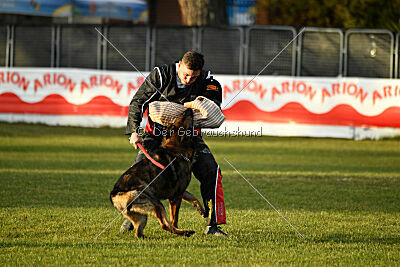Colombo Moravská kometa