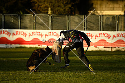 Colombo Moravská kometa