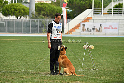 Conan vom Clan der Wölfe