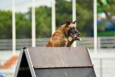 Conan vom Clan der Wölfe