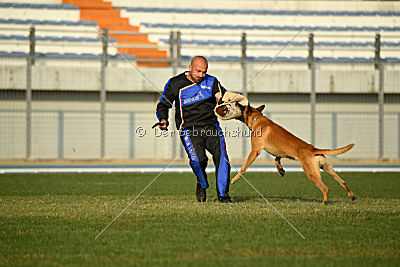 Conan vom Clan der Wölfe