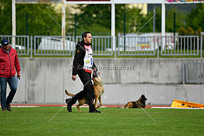 Conan vom Clan der Wölfe