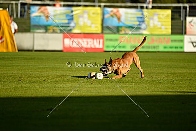 Conan vom Clan der Wölfe