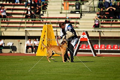 Conan vom Clan der Wölfe