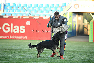 Cor von Starker Wille