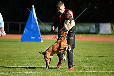 Corleone von den Strong Boxern