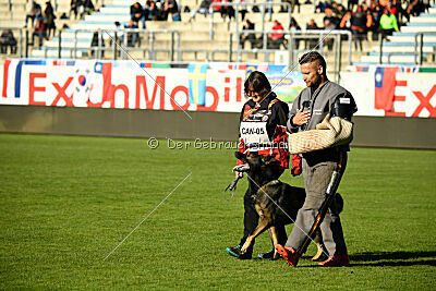 Covid vom Friedewälder Schloß