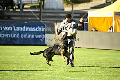 Covid vom Friedewälder Schloß