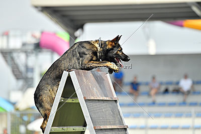 Crack vom Langen Elend