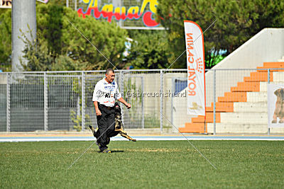 Crack vom Langen Elend