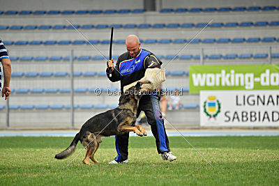 Crakk da Quinta do Salomao