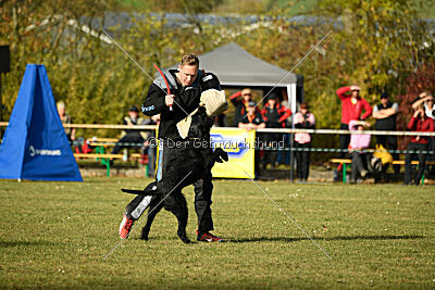 Crash la casa DeCillia