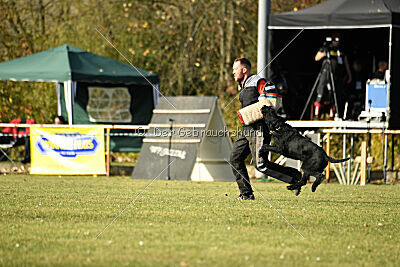 Crash la casa DeCillia