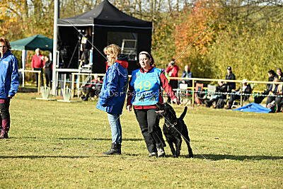 Crash la casa DeCillia