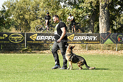 Crazy Canis Invictus