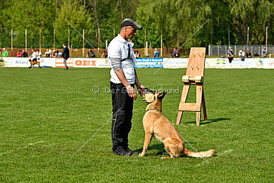 Crazy von den kleinen Halunken