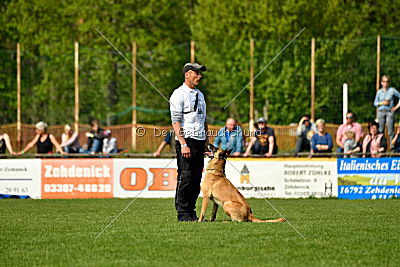 Crazy von den kleinen Halunken