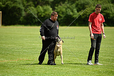 Criquette von Malihattan