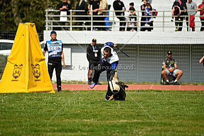 Crocodile z Udoli Jizery