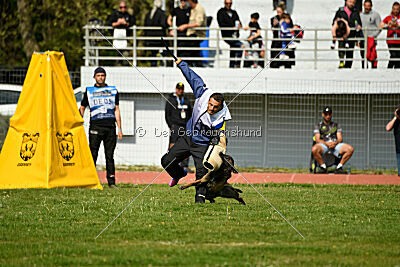 Crocodile z Udoli Jizery