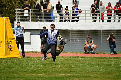 Crocodile z Udoli Jizery