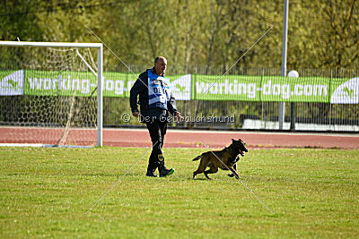 Crocodile z Udoli Jizery