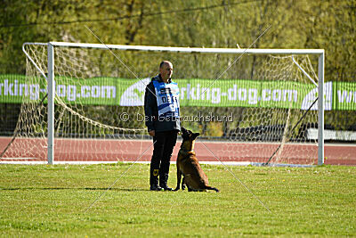 Crocodile z Udoli Jizery