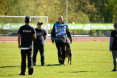 Crocodile z Udoli Jizery