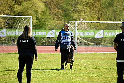 Crocodile z Udoli Jizery