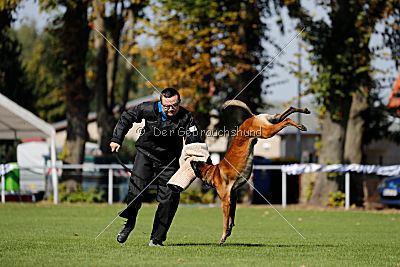 Crocodile z Údolí Jizery