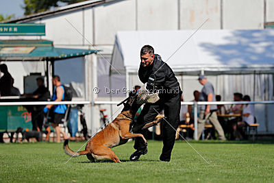 Crocodile z Údolí Jizery