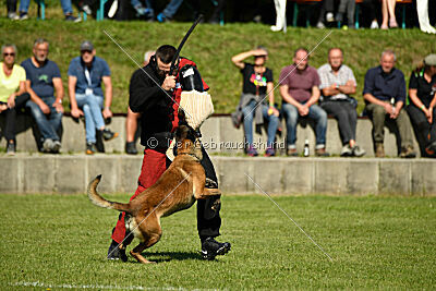 Crocodile z Údolí Jizery