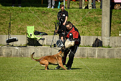 Crocodile z Údolí Jizery