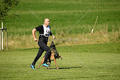 Crocodile z Údolí Jizery