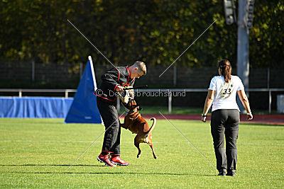 Cuba-Libre von der Königswiese