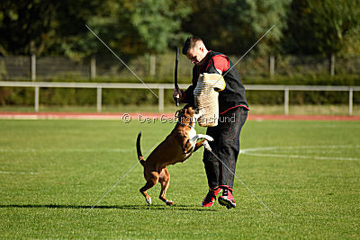 Cuba-Libre von der Königswiese