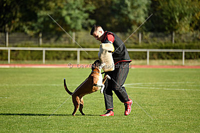 Cuba-Libre von der Königswiese