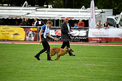 Cute von der großen Freiheit