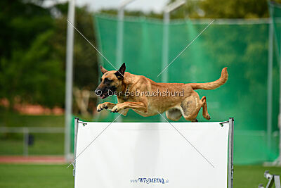 Cute von der großen Freiheit