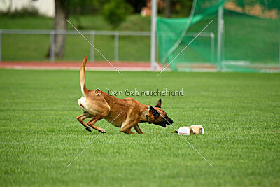 Cute von der großen Freiheit