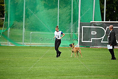 Cute von der großen Freiheit