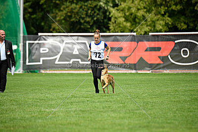 Cute von der großen Freiheit