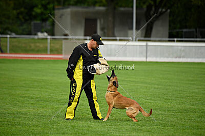 Cute von der großen Freiheit