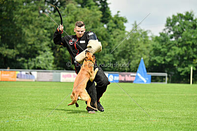 Cute von der großen Freiheit