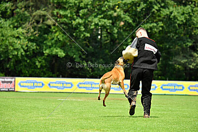 Cute von der großen Freiheit